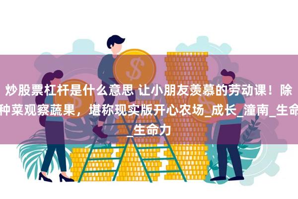 炒股票杠杆是什么意思 让小朋友羡慕的劳动课！除草种菜观察蔬果，堪称现实版开心农场_成长_潼南_生命力
