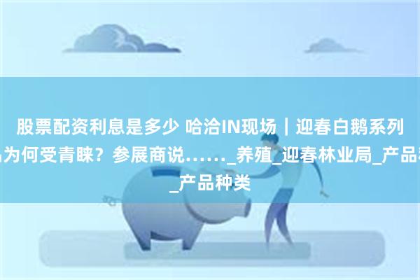 股票配资利息是多少 哈洽IN现场｜迎春白鹅系列产品为何受青睐？参展商说……_养殖_迎春林业局_产品种类