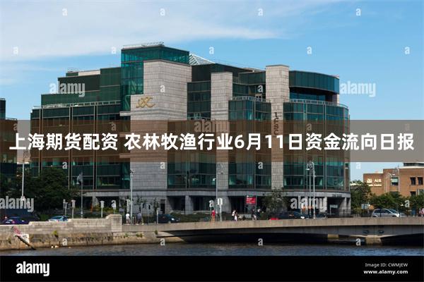 上海期货配资 农林牧渔行业6月11日资金流向日报
