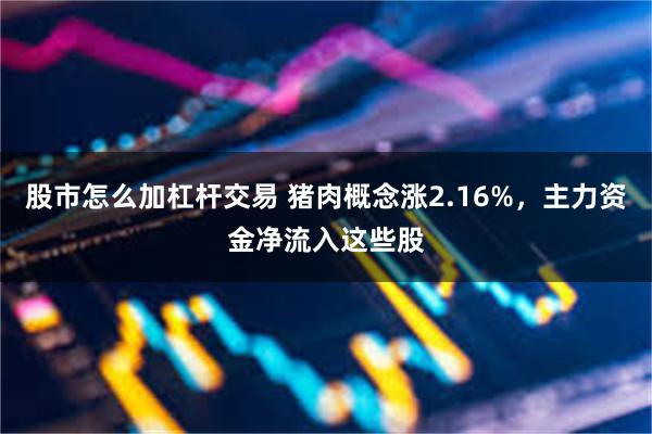 股市怎么加杠杆交易 猪肉概念涨2.16%，主力资金净流入这些股