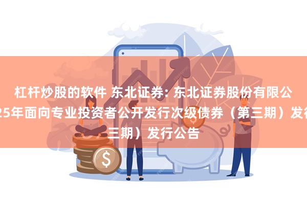 杠杆炒股的软件 东北证券: 东北证券股份有限公司2025年面向专业投资者公开发行次级债券(第三期)发行公告