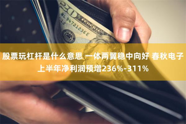 股票玩杠杆是什么意思 一体两翼稳中向好 春秋电子上半年净利润预增236%-311%