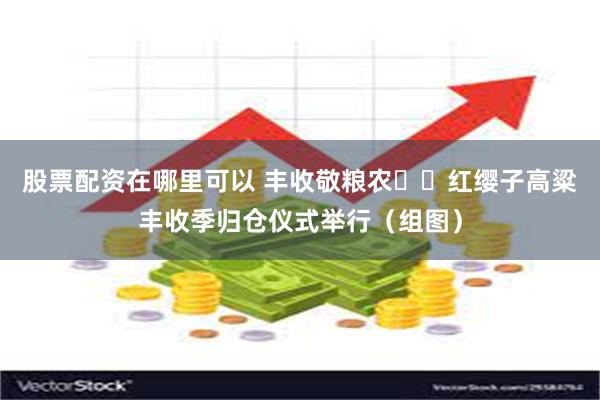股票配资在哪里可以 丰收敬粮农  红缨子高粱丰收季归仓仪式举行（组图）
