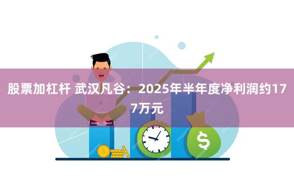 股票加杠杆 武汉凡谷：2025年半年度净利润约177万元